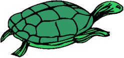 tortuga