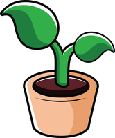 plant